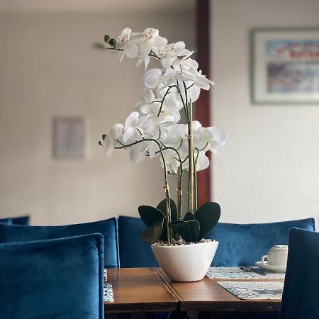 Hotel Le Pasteur Royan Dış mekan fotoğraf